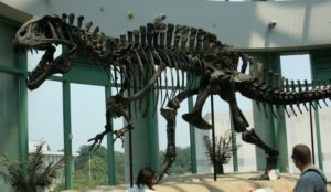 Beasts of Bermuda Acrocanthosaurus