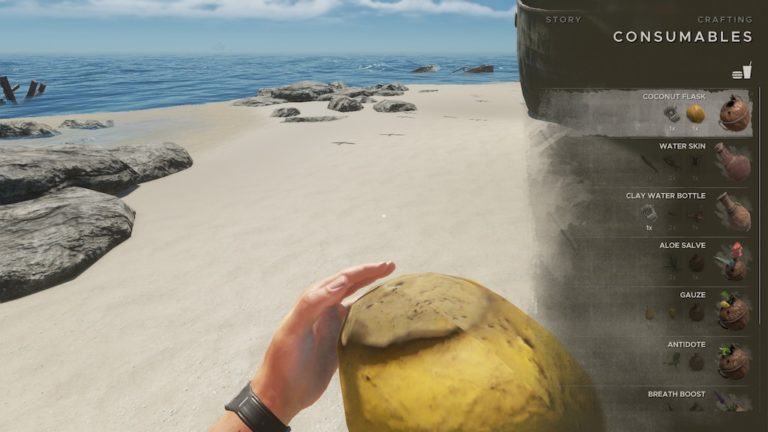 Stranded Deep: Crafting a Coconut Flask | Coconut Flask Stranded Deep