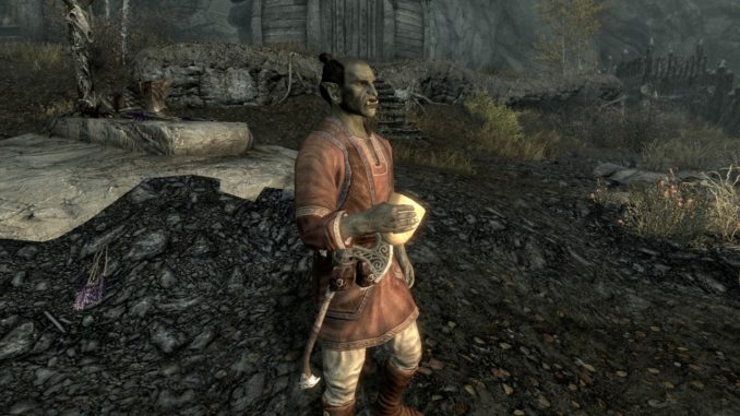 skyrim best steward