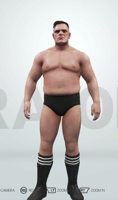 WWE 2K19 best caw